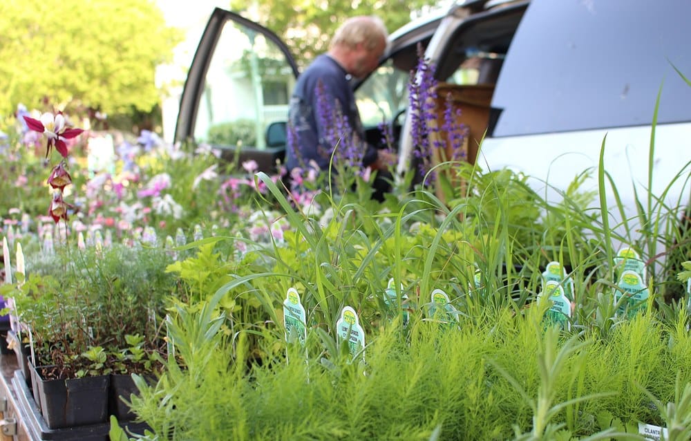 Farmers markets start opening in May!