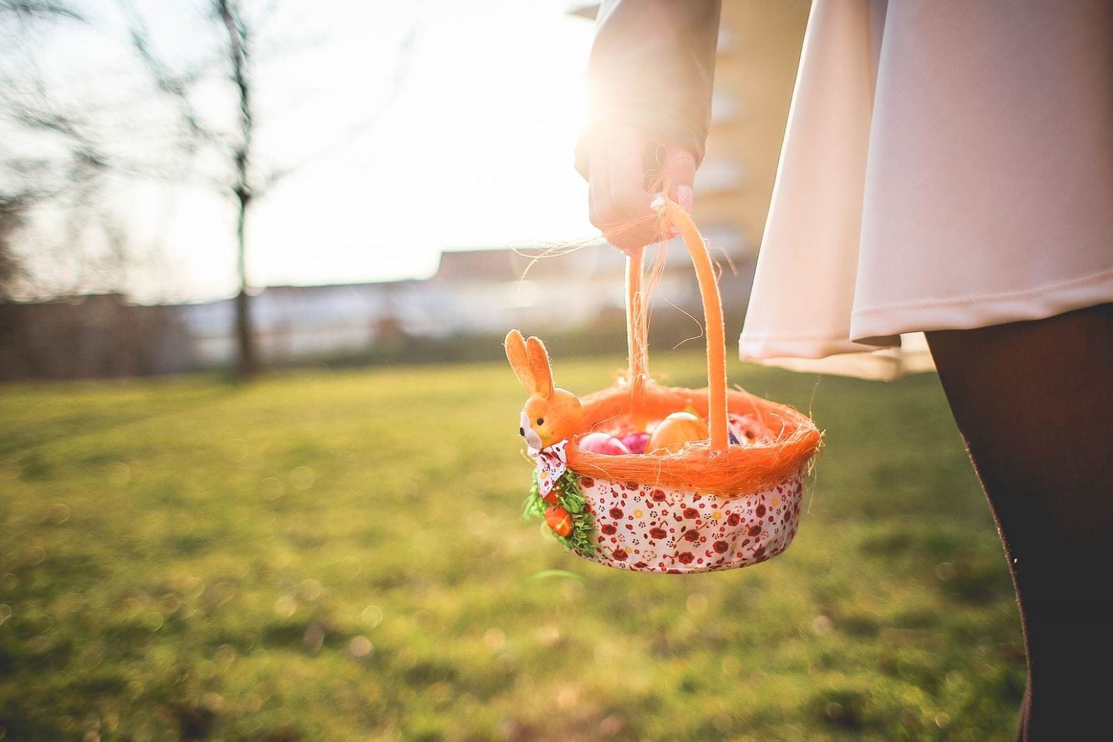 Blog, Easter Treats & Brunch | Cedar Falls Tourism Bureau, Iowa