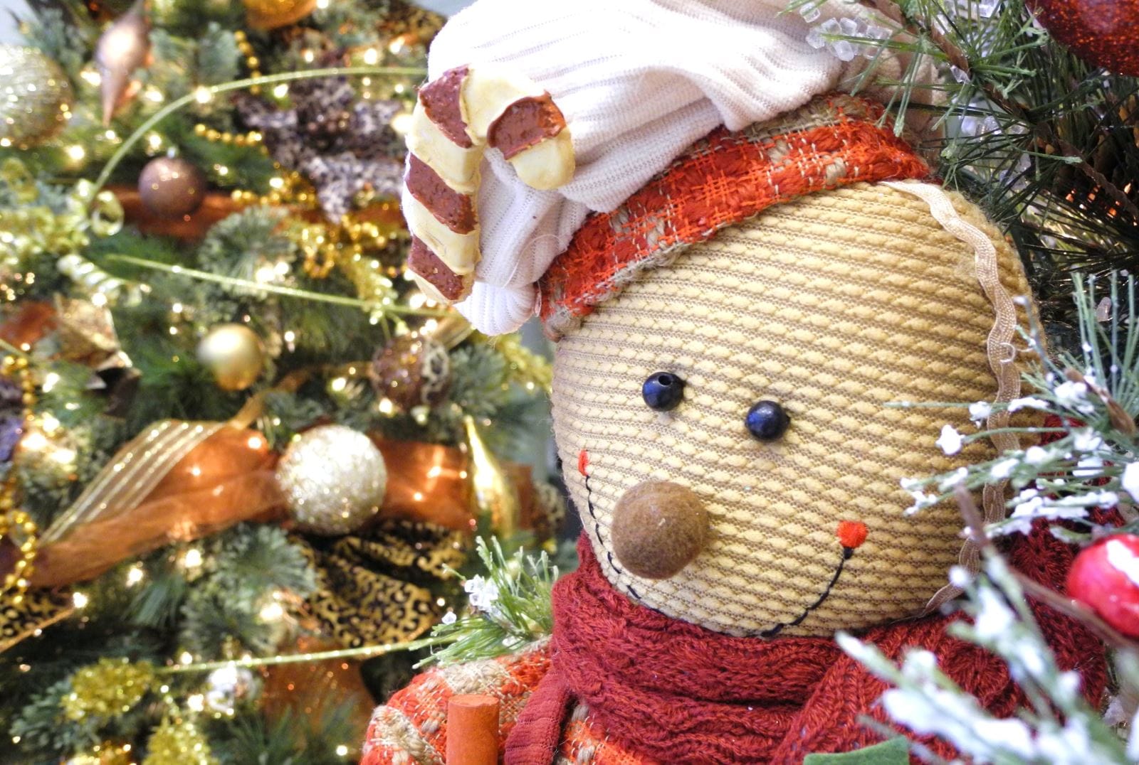 Festival of Trees 2015 | Cedar Falls, Iowa