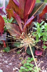 2014 Cedar Falls Garden Tour