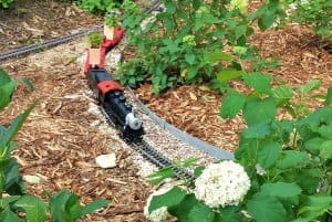 2014 Cedar Falls Garden Tour