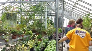 2014 Cedar Falls Garden Tour, UNI Botanical Center