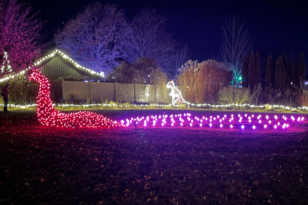 Cedar Valley Arboretum Illuminate the Gardens