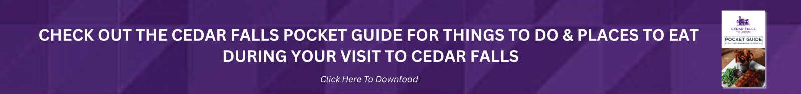 pocket guide