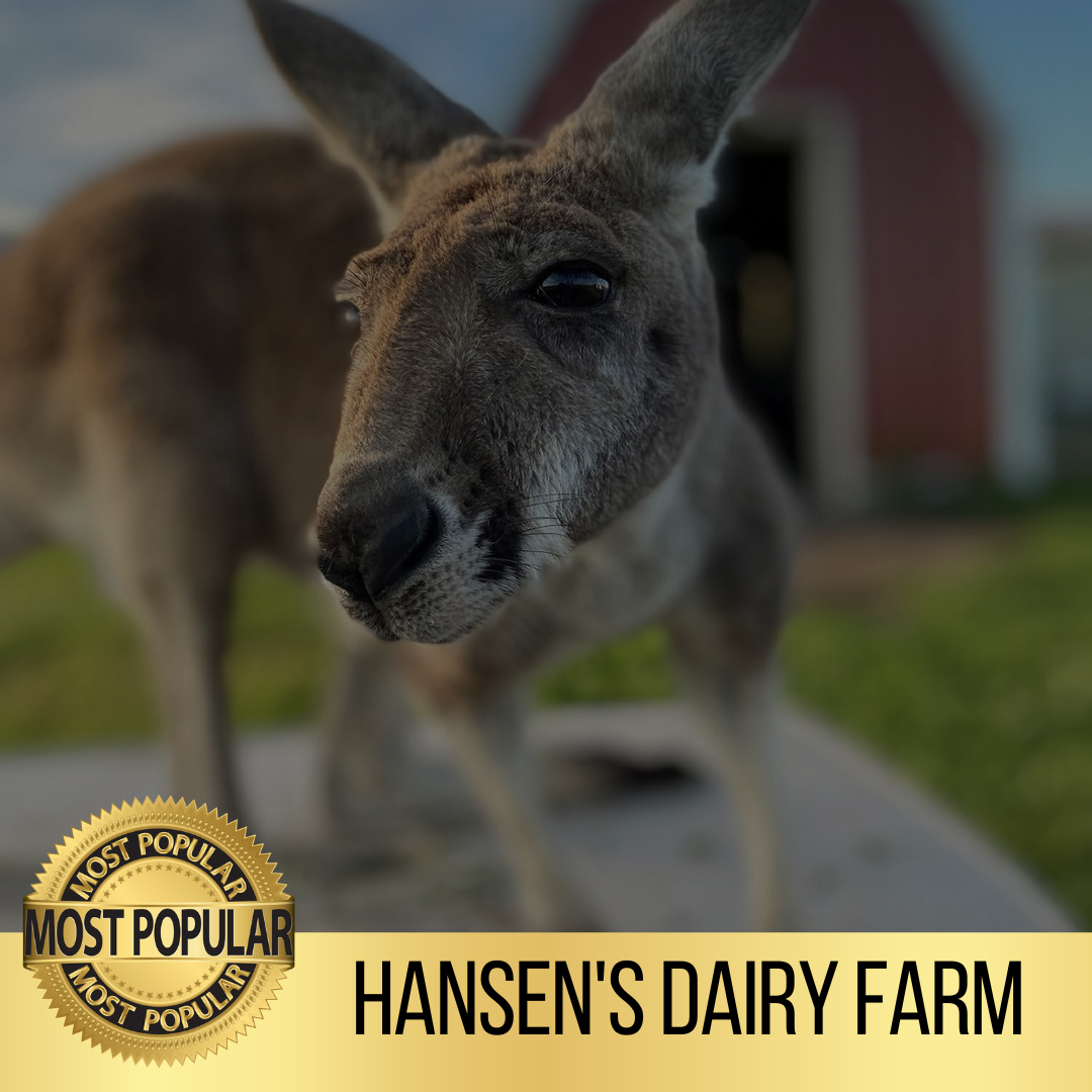 Hansen's Dairy Farm