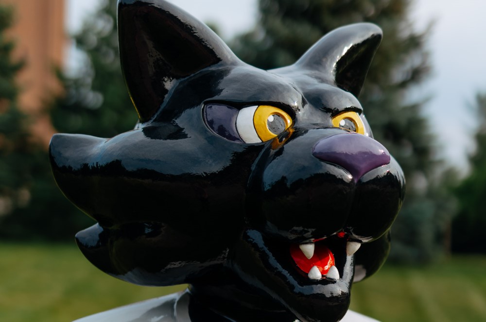 Mascot Face