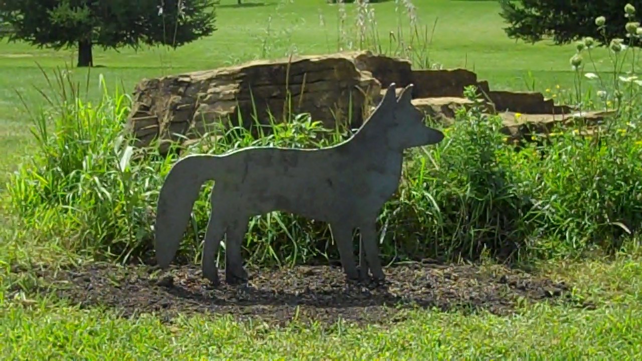 Prairie Lake Critters