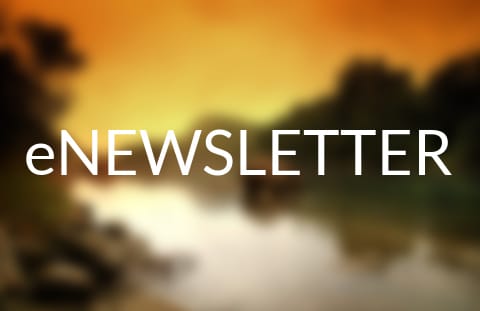 Weekender Newsletter