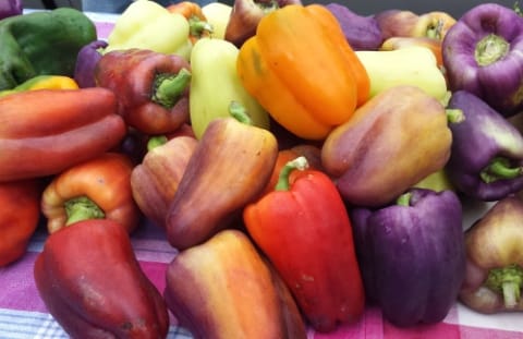 Cedar Falls Farmer's Market, Saturday mornings, May-October, at Overman Park | Cedar Falls, Iowa