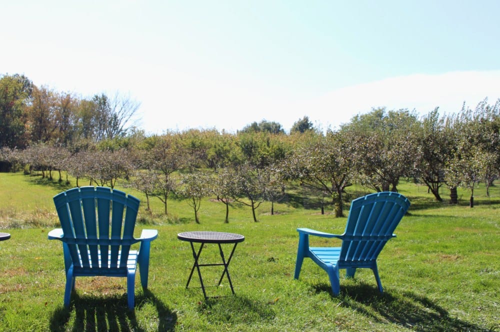 Blueridge Orchard in Denver, Iowa