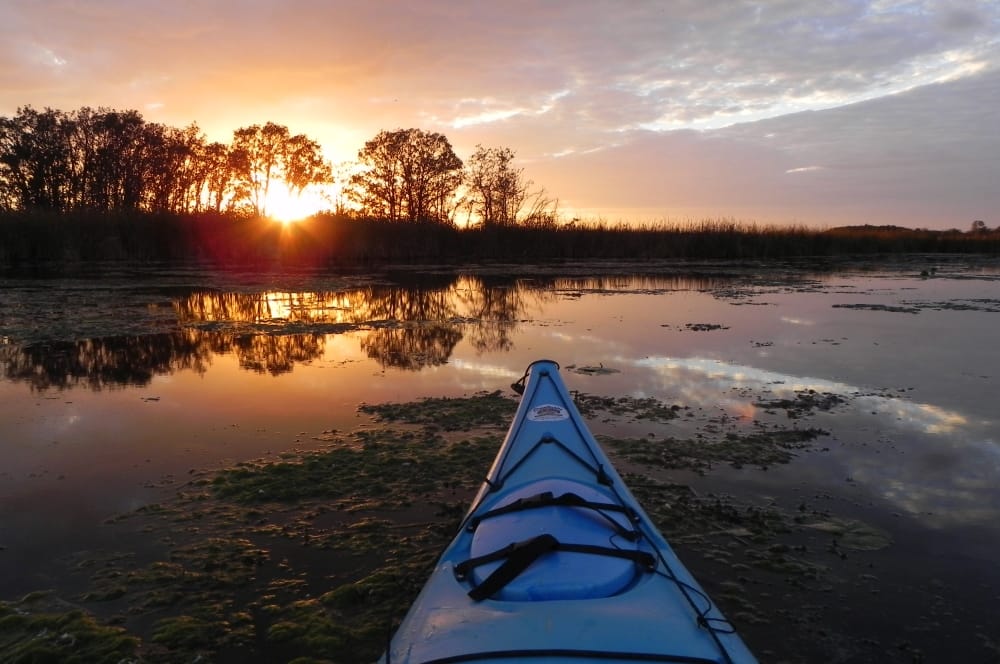 Kayaking in the Cedar Valley