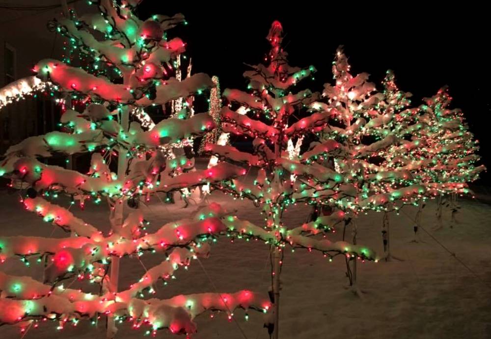 Cedar Hill family's 100,000-light 'Blue Christmas' display wins $50,000  prize