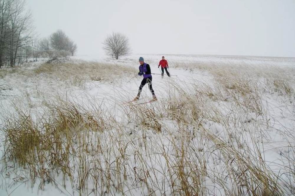Cedar Valley Nordic Skiing - cross-country skiing lessons