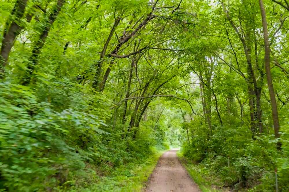 Cedar Valley Nature Trail
