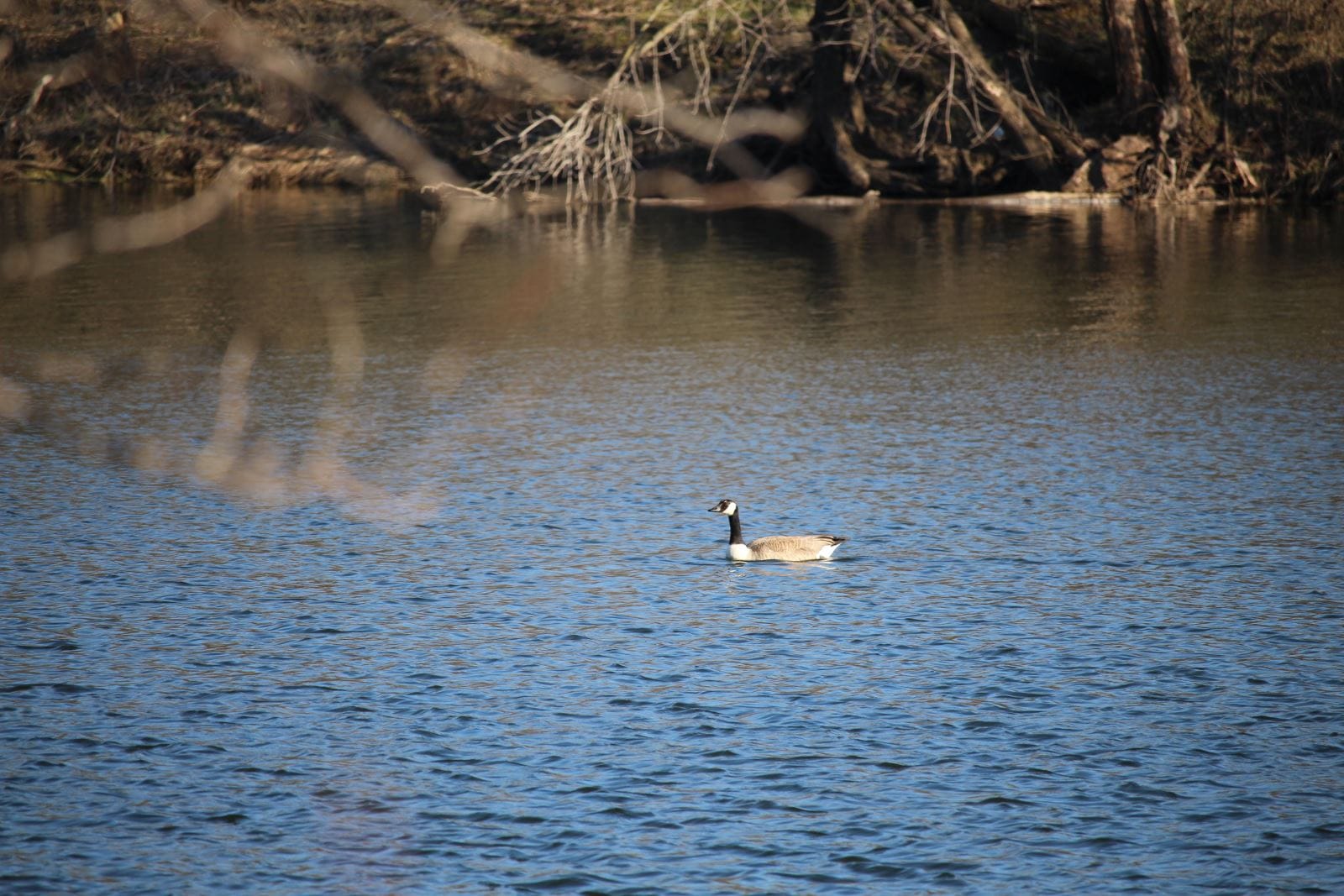 Fisher Lake, George Wyth State Park, Waterloo