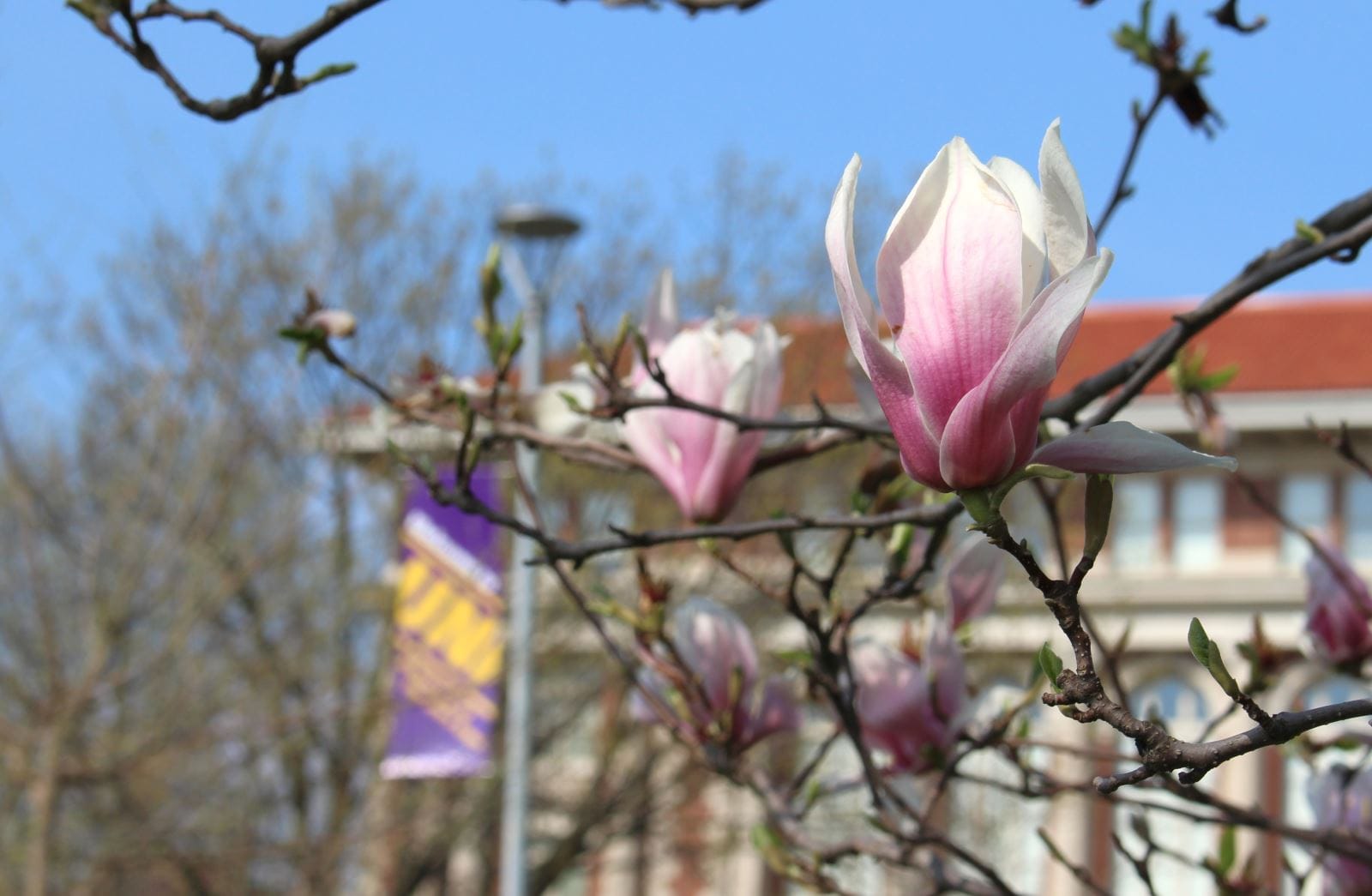 University of Northern Iowa Campus, Cedar Falls