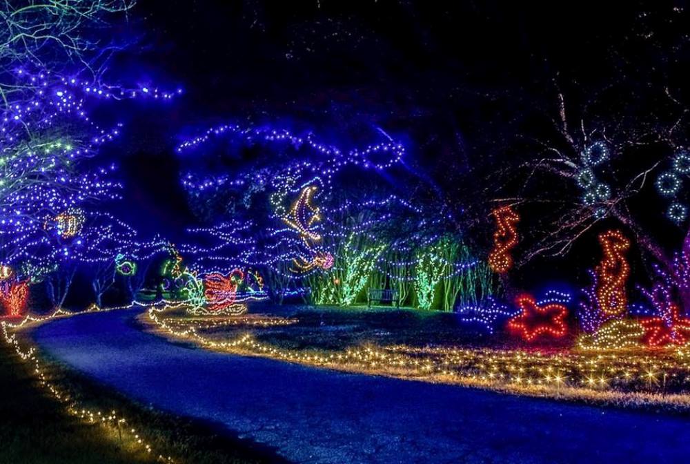 Cedar View Holiday Lights in Nashua, Iowa. 2016