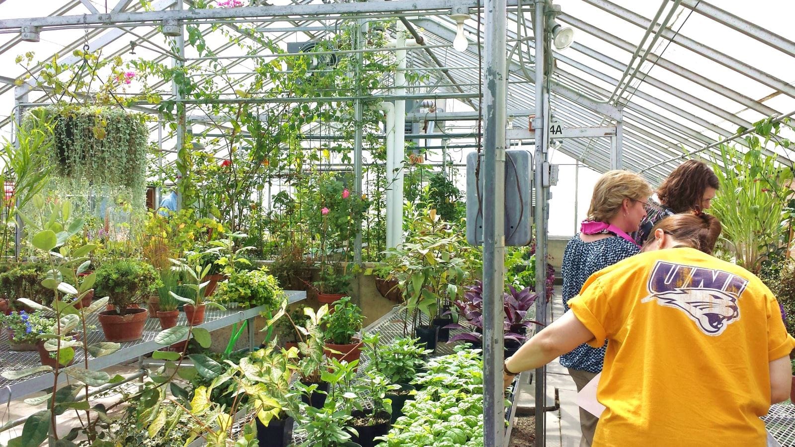 Spring Fever blog post | UNI Botanical Center | Cedar Falls, Iowa