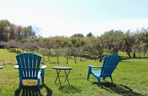 Autumn at Local Apple Orchards