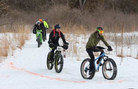 Winter Walks, Runs and Fun