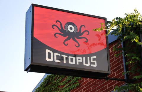 Octopus