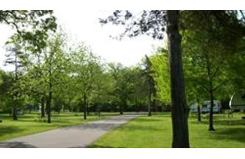 McFarlane Park