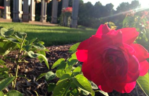 Cedar Valley Arboretum & Botanic Gardens