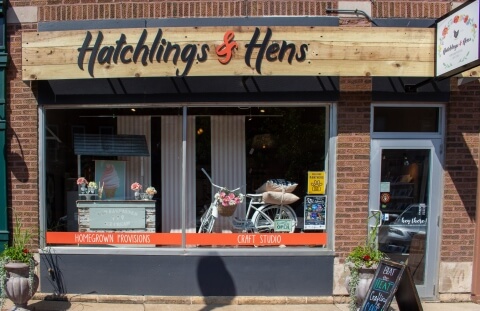 Hatchlings & Hens