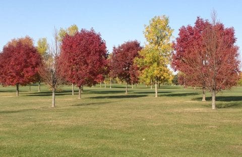 Walter's Ridge Golf Course