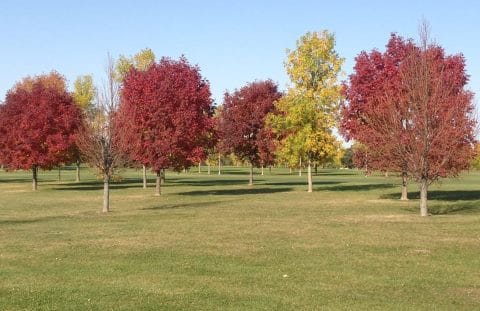 Walter's Ridge Golf Course